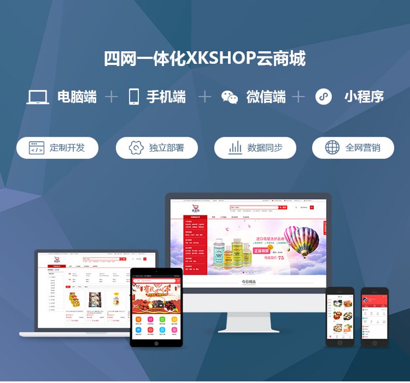 商城网站开发